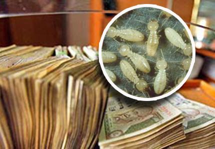 &nbsp;L'article original de l'Indian Express