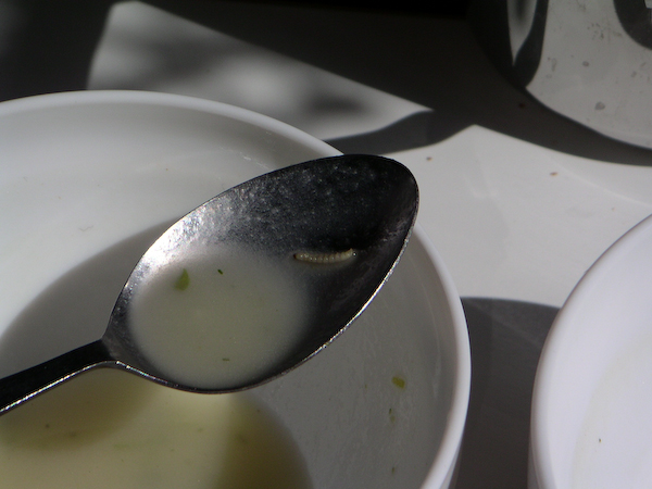 UIEIS_Bruxelles_20030903_11.24.15