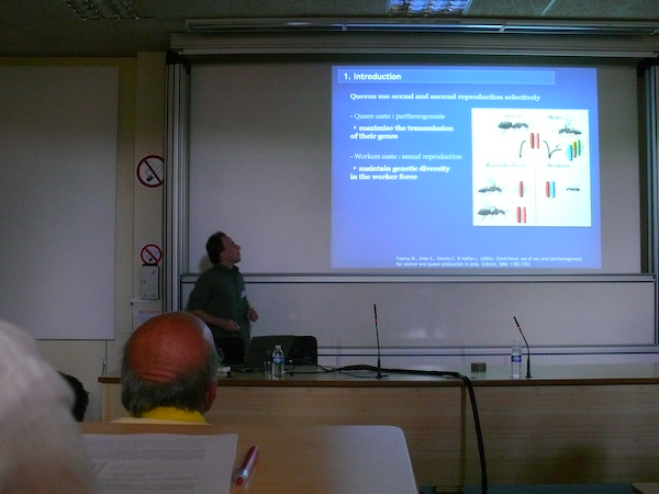 UIEIS_Toulouse_20070903_12.01.50